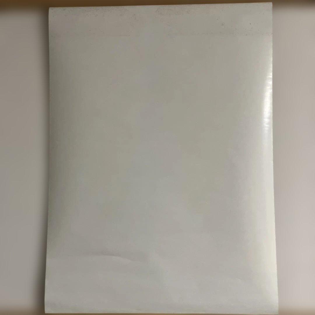 OVA「真・女神転生〜東京黙示録〜」DVD特典ポスター（B2サイズ）。美品