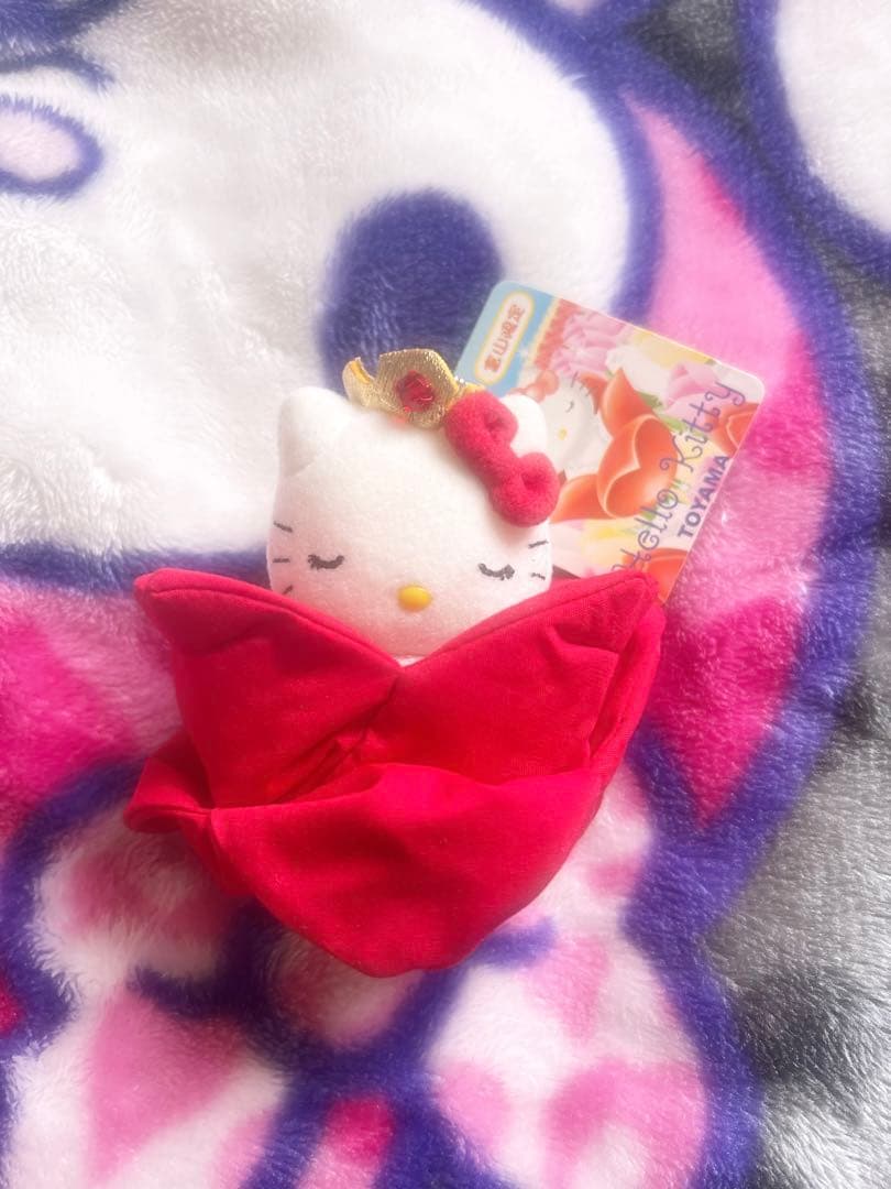 ハローキティ ぬいぐるみ チューリップ 富山限定 キティ ぬいぐるみ 大