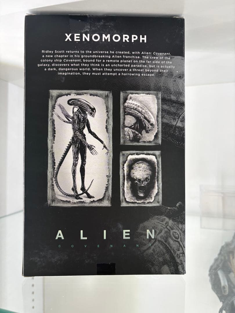 ネカ　エイリアン　コヴェナント　ゼノモーフ　豆魚雷