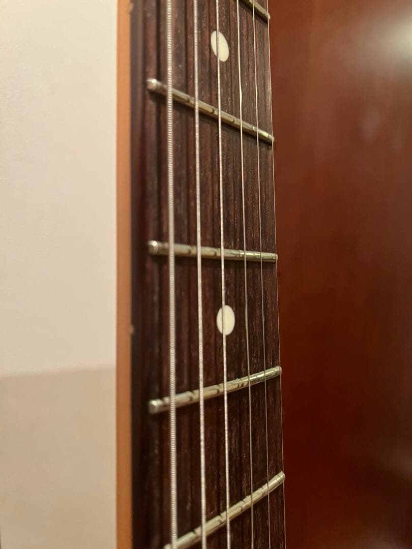 ギター FUJIGEN NST12RAL -Black-