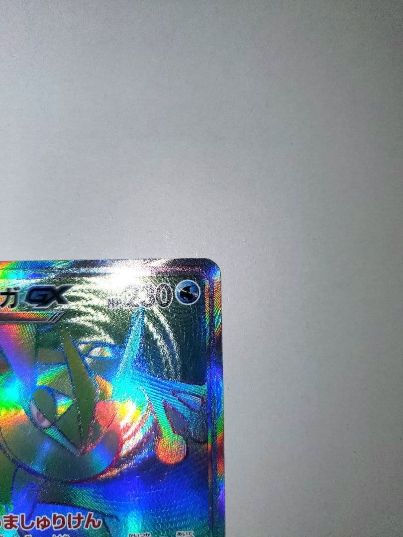 ゲッコウガ　確認用