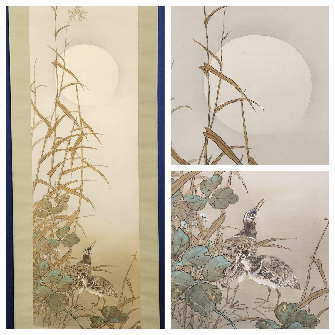 鯉滝登り図】戸田北遥 2705 登竜門 肉筆 掛け軸 鯉滝登り図】戸田 【