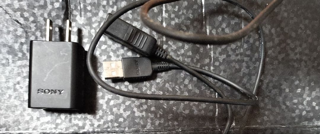 ビデオカメラ SONY Handycam HDR-CX670