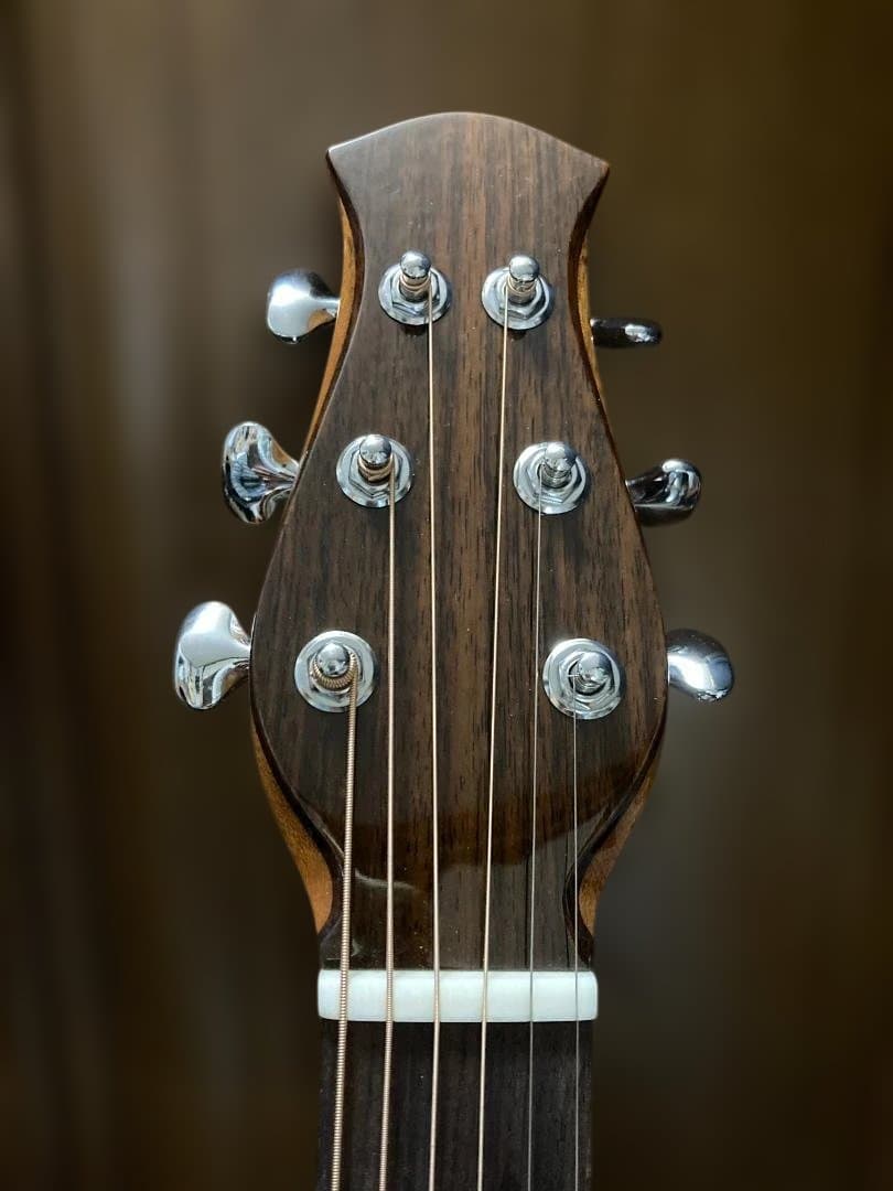 aNueNue aNN-LF23E フルサイズ・センターホールギター(PU付) - メルカリ