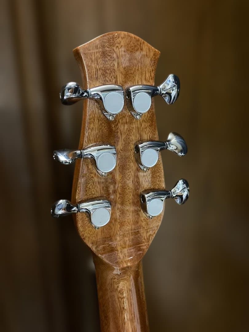 aNueNue aNN-LF23E フルサイズ・センターホールギター(PU付) - メルカリ