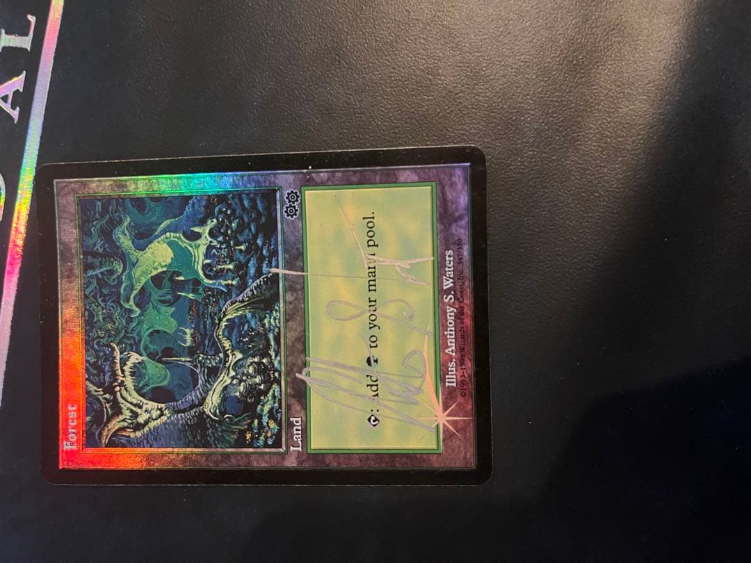 MTG 【USG】 Forrest アリーナfoil サインド