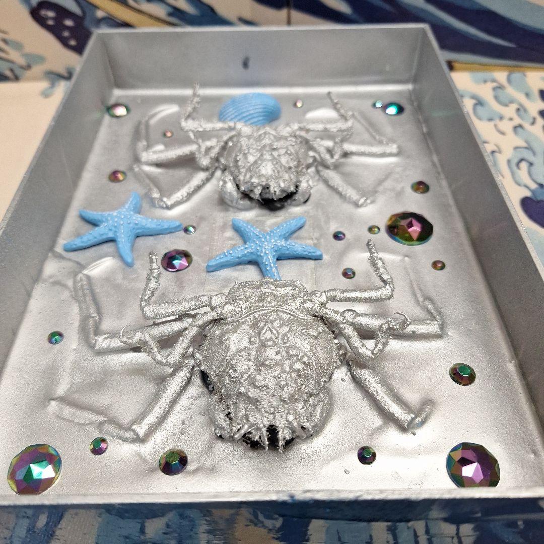 平家怨霊人面蟹稀少レア平家蟹鬼面蟹ペア二点凹凸リアル立体