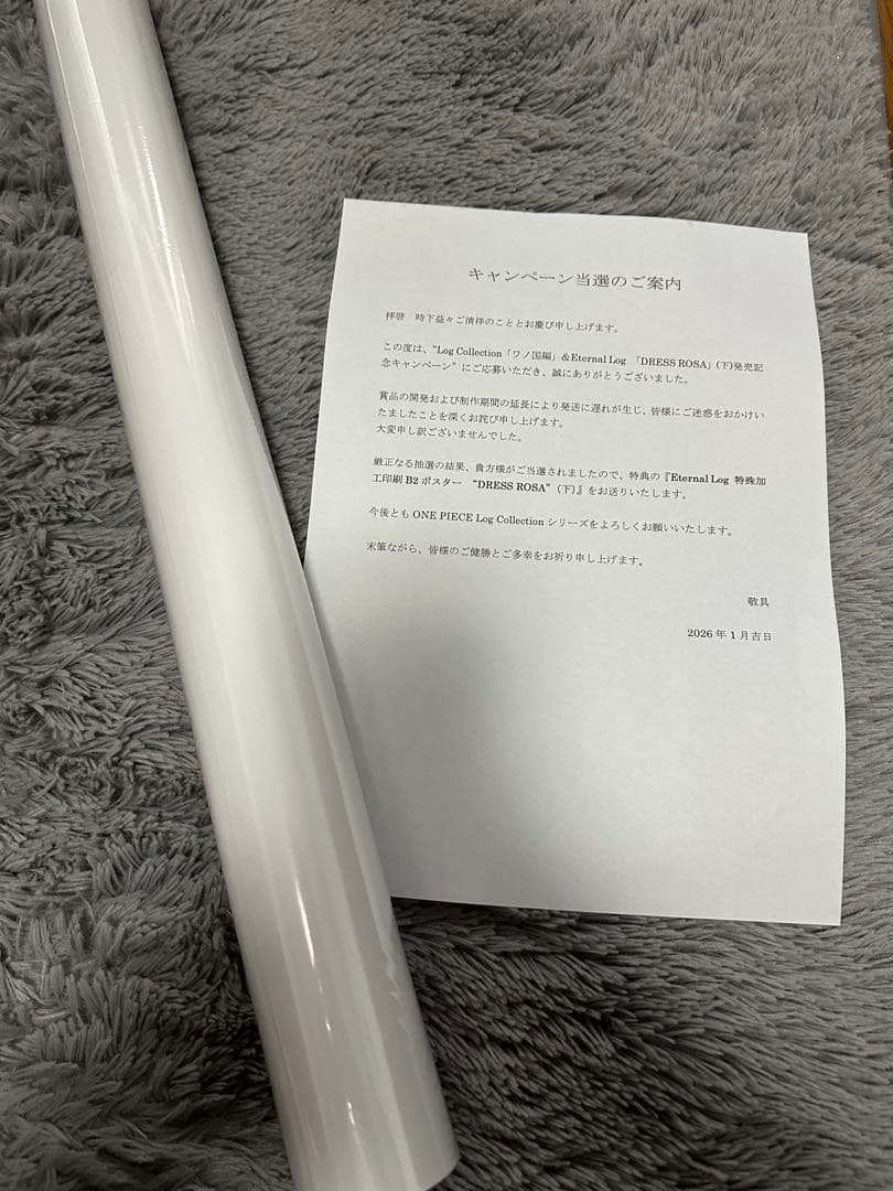 ONE PIECE ワンピース Eternal Log 特殊加工印刷B2ポスター - メルカリ