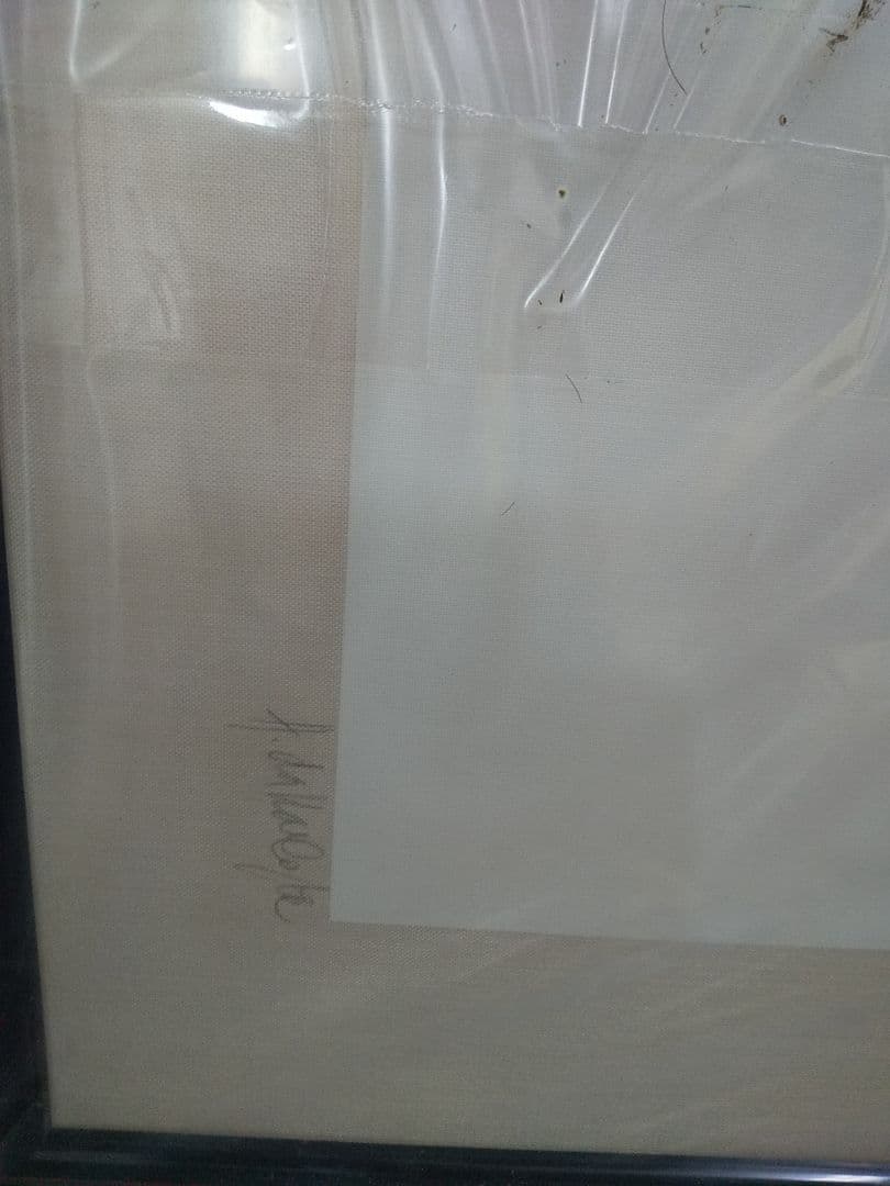 ダラコマタ 絵画