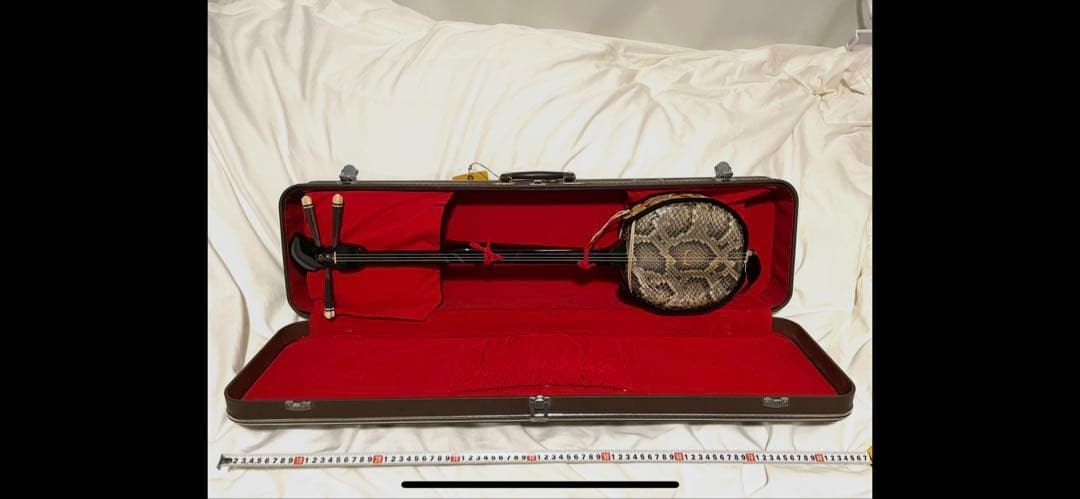 三線 ヘビ皮 2本 ケース付き 難あり