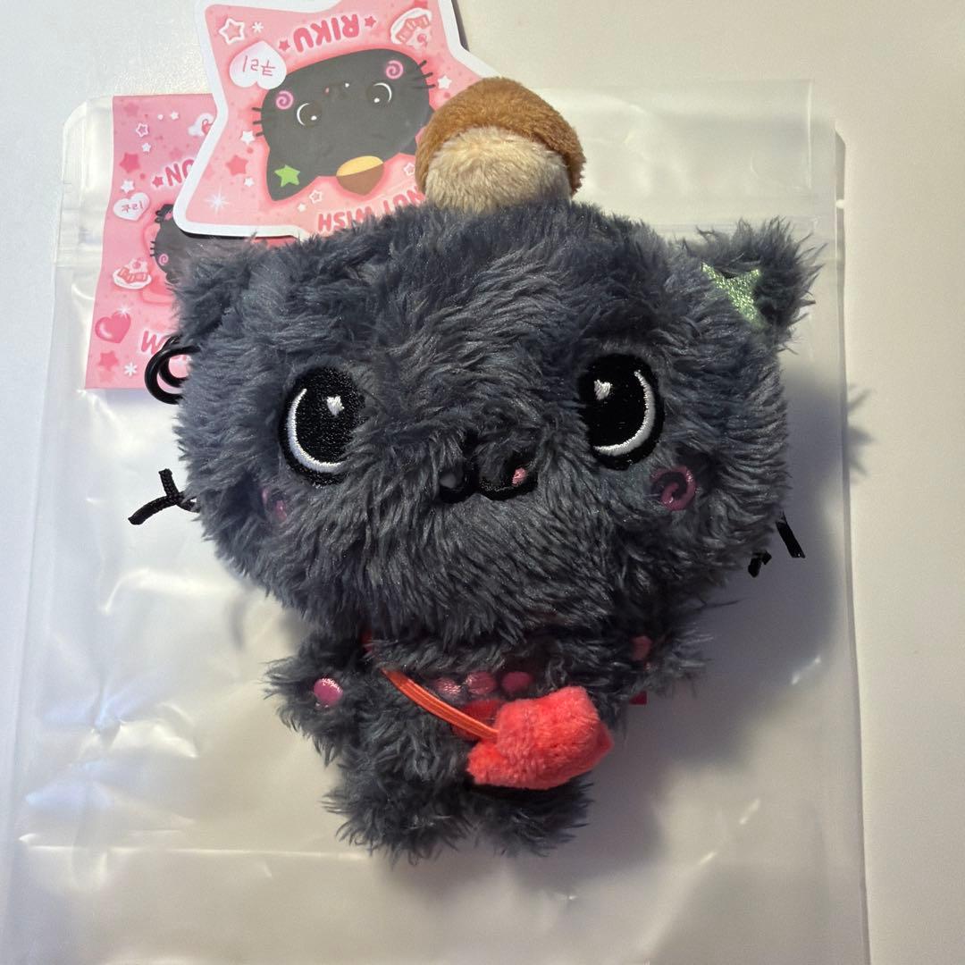 NCT WISH DOLL リク ぬいぐるみ steady MD - メルカリ