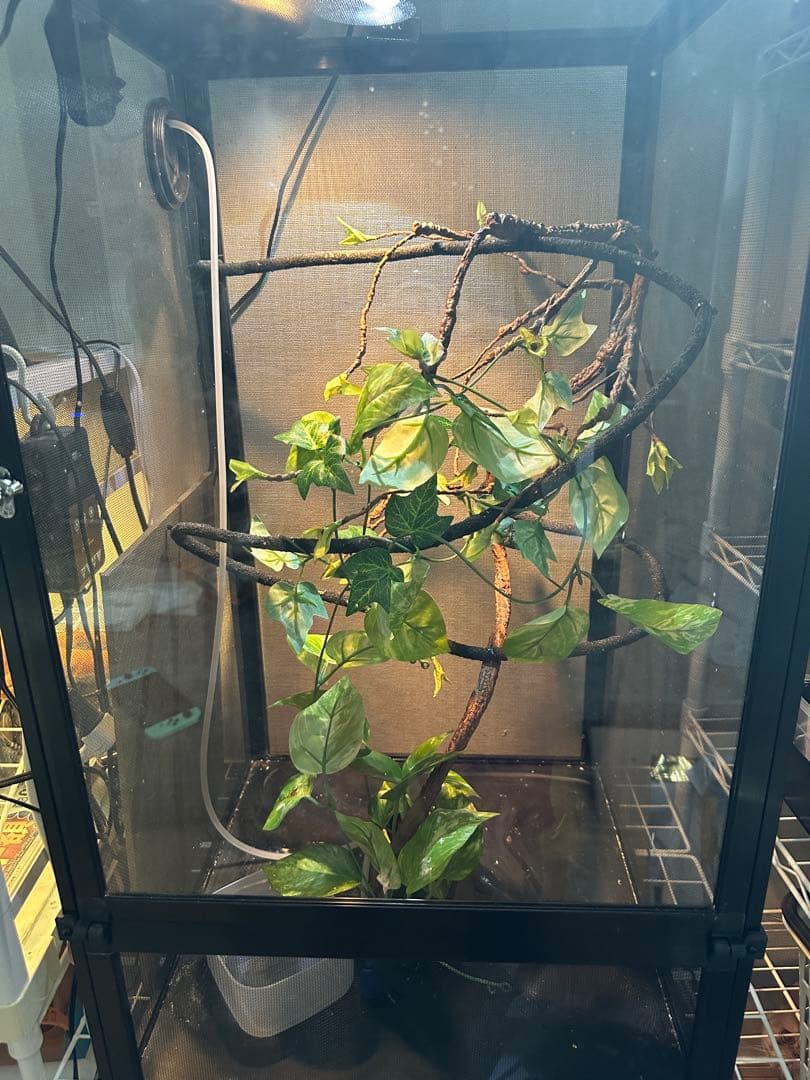 中ちゃん様専用 ゲージ+ドリッパー+ライトドーム