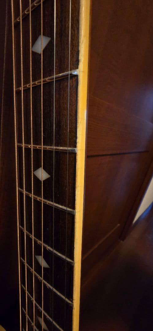 Schecterダイヤモンドシリーズ エレアコ セミハードケース付き