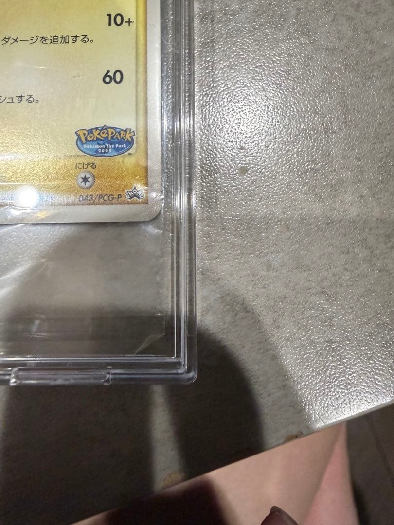 ポケパークのピカチュウ PROMO PCG-P043/PCG-P 未開封