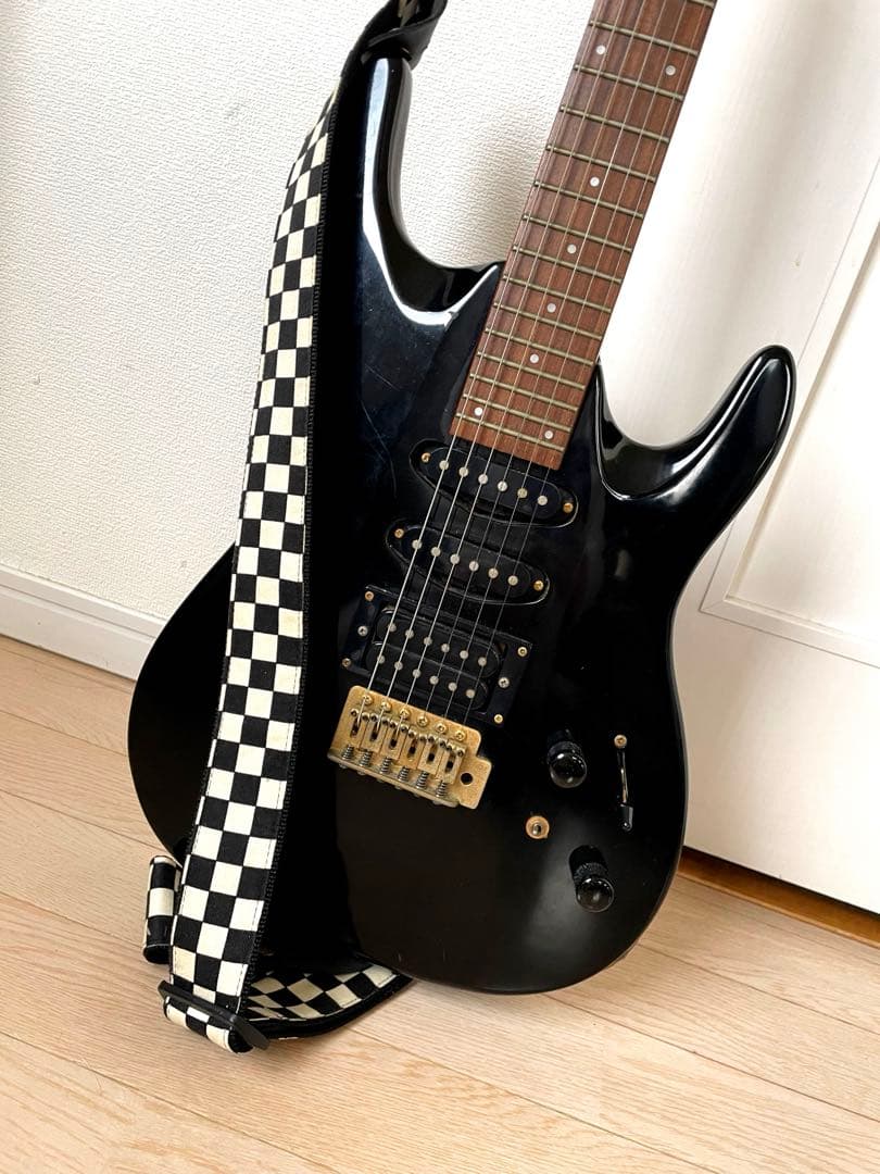 【カバー付き】Aria ProⅡ アリアプロ