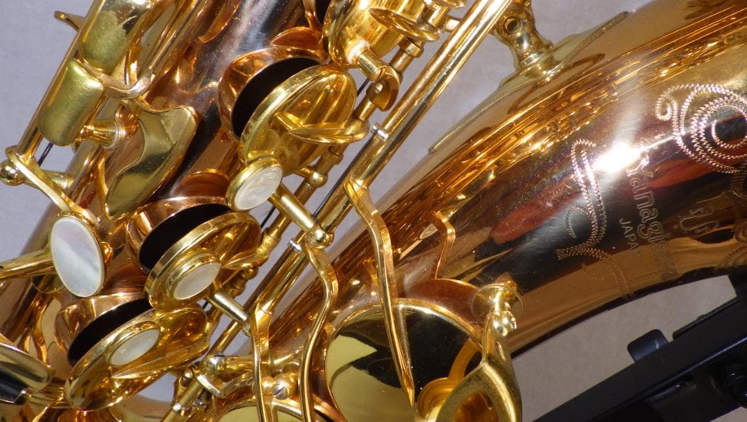 YANAGISAWA アルトサックス ヤナギサワ A-WO20