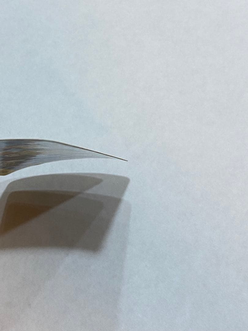 ドラゴンボールカードダス　PPカード　宇宙最強トリオ