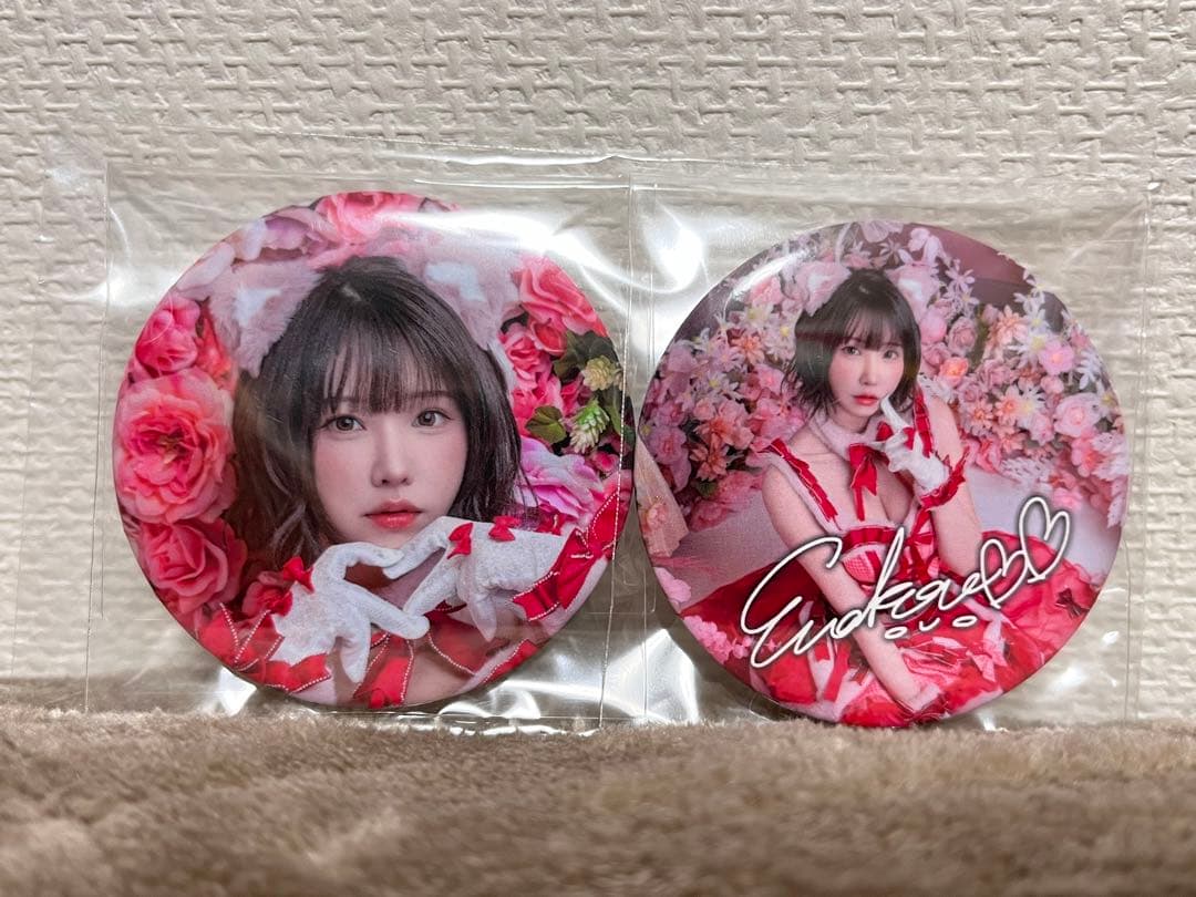 えなこ バースデーパーティー2025 セット birthdayparty