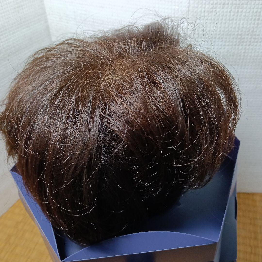 フォンテーヌ レディメイドフラフィ 257 GD2 ショートウィッグ ブラウン