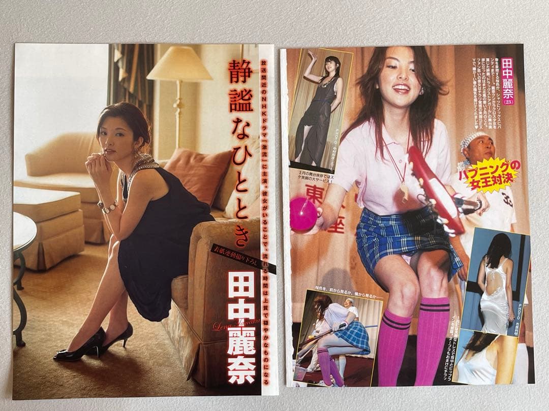 田中麗奈　抽プレ　サイン入り映画　よなよなペンギン　パンフレット、写真集、切取り