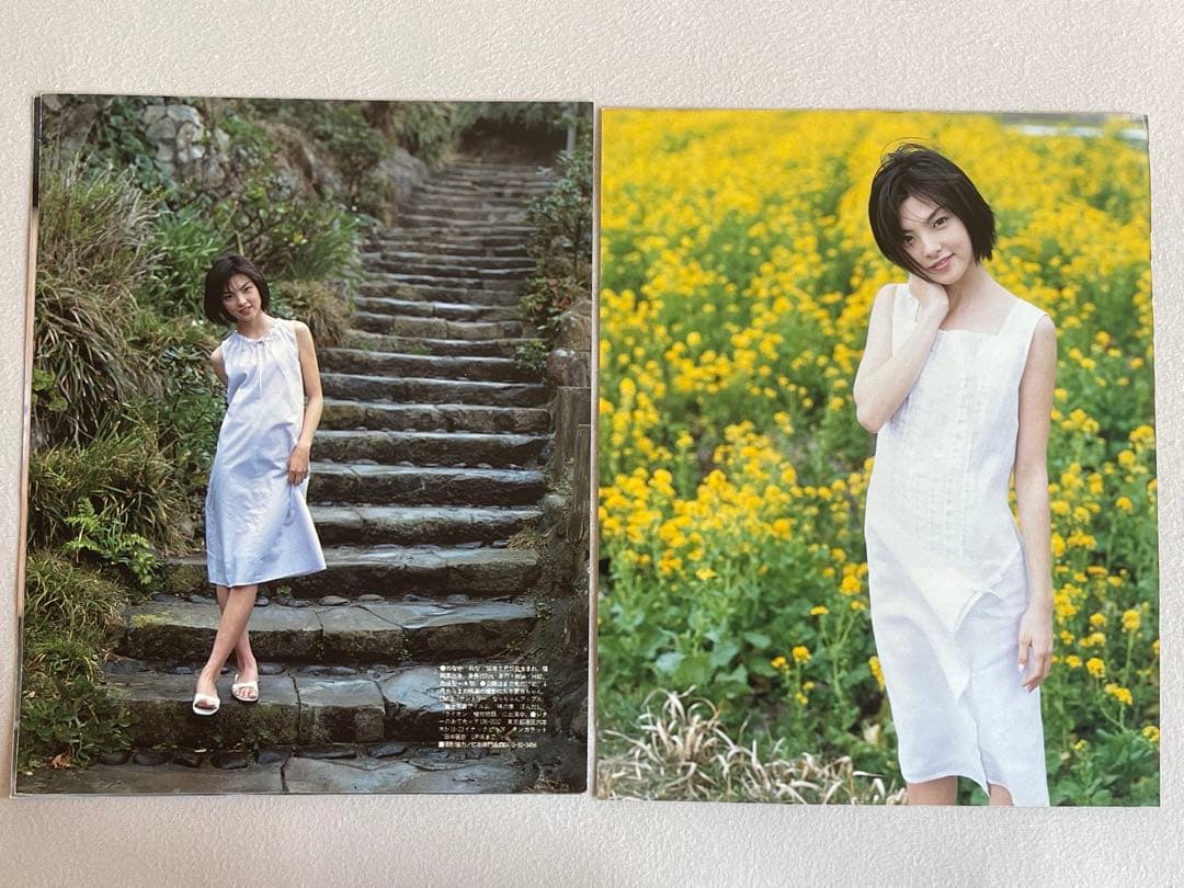 田中麗奈　抽プレ　サイン入り映画　よなよなペンギン　パンフレット、写真集、切取り