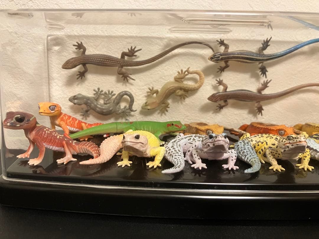 ヒョウモントカゲモドキ　ヤモリ　ガチャガチャ