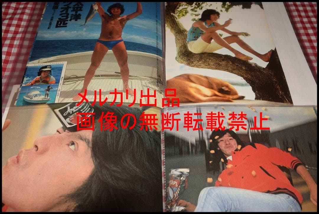 ▲西城秀樹▲切り抜き▲ 西城秀樹 若き獅子たち RVL-7011 | レコード買取