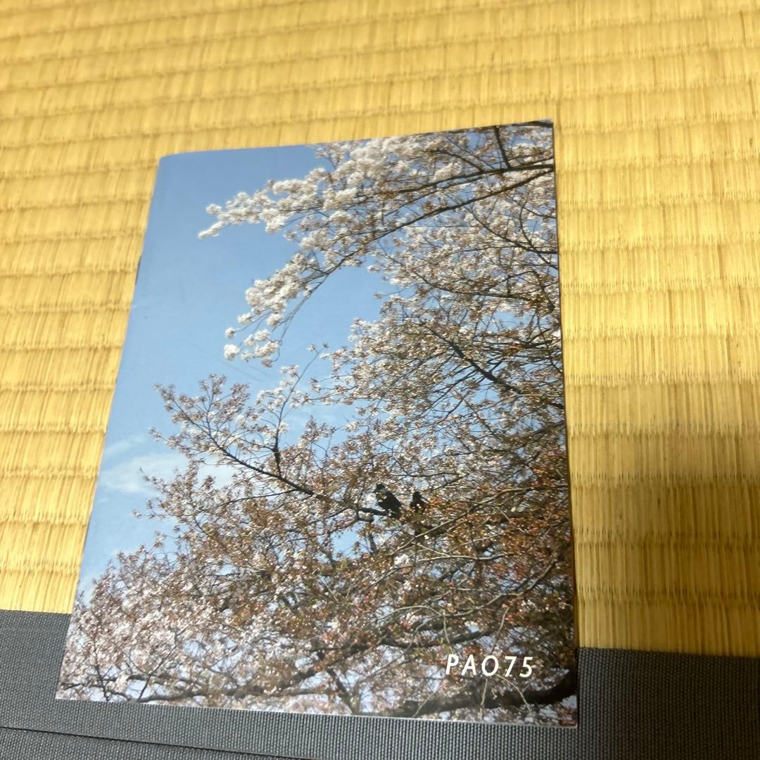 エレファントカシマシ 会報誌