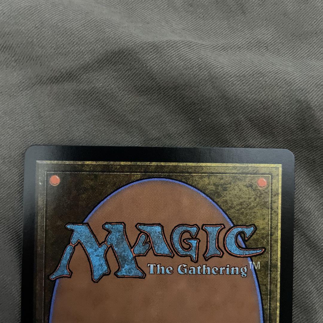 FOIL版 完成化した賢者、タミヨウ おまけ付き - メルカリ