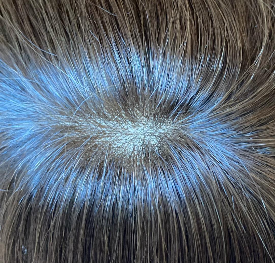 Marnie　JO 人毛MIX　総手植え　レディショート　ダークブラウン