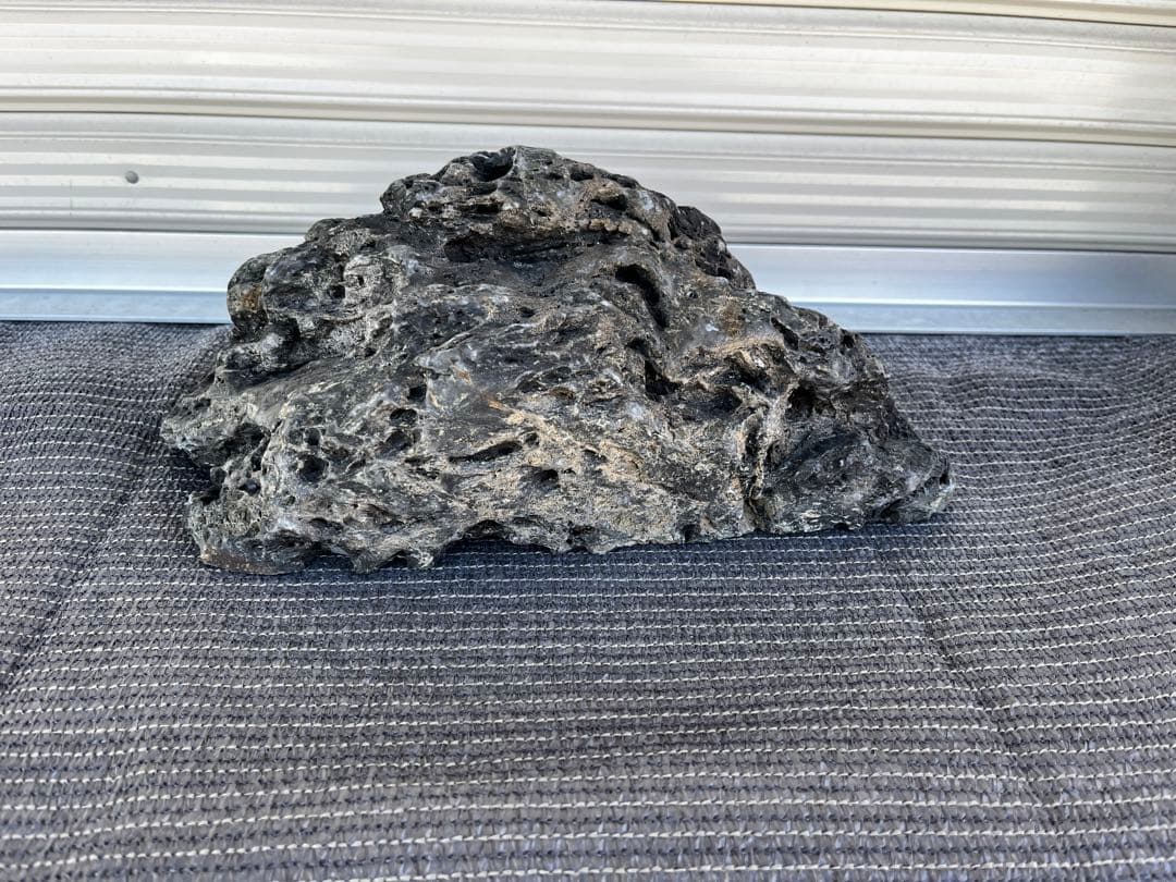 佐治石〈29〉【Taiyoメダカ】