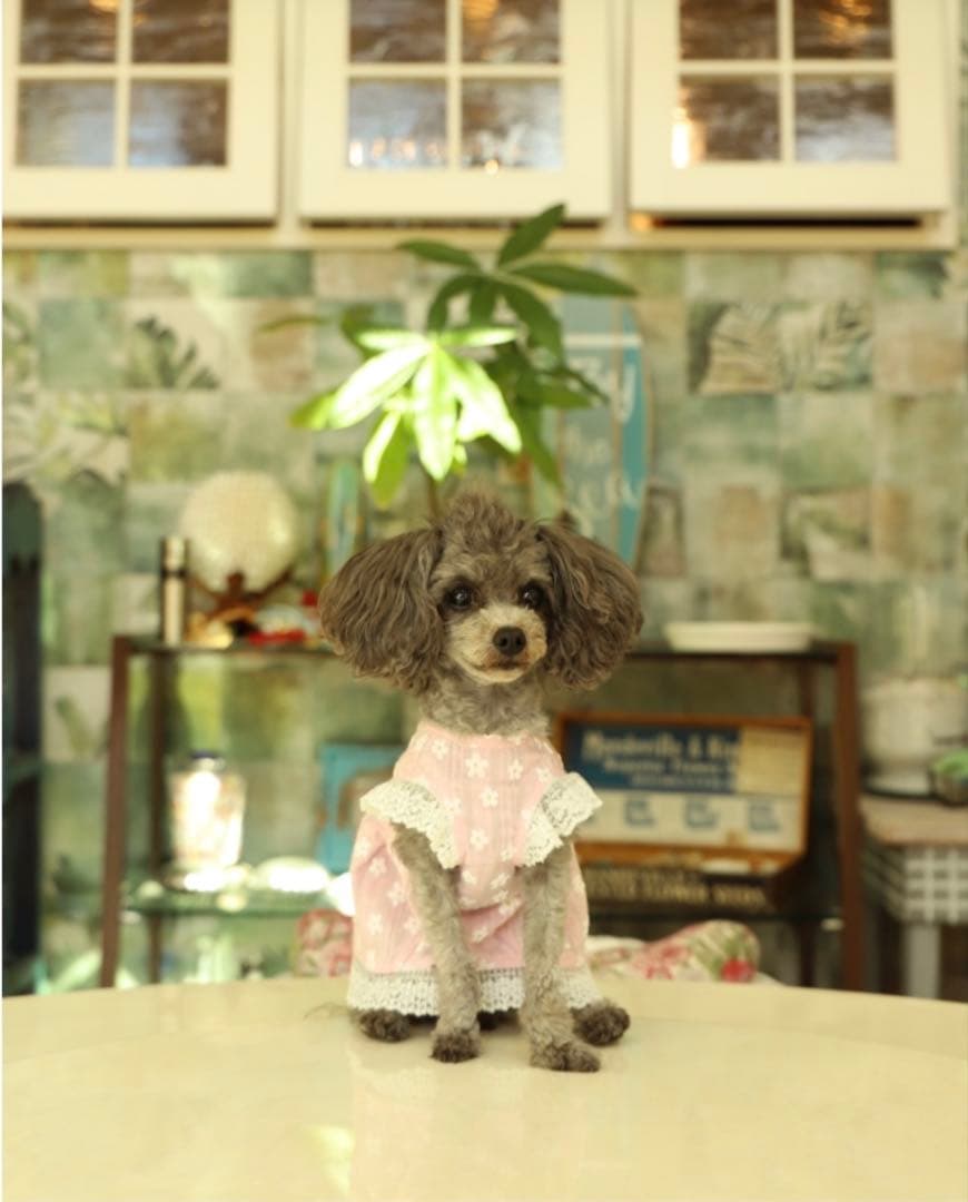 アトリエgg シークワーサーの花(ワンピース) ピンク 0サイズ