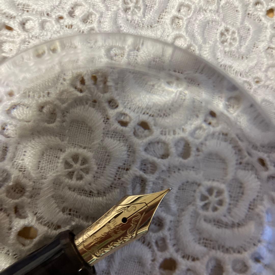 万年筆　パイロット　カスタム74 F（細字）