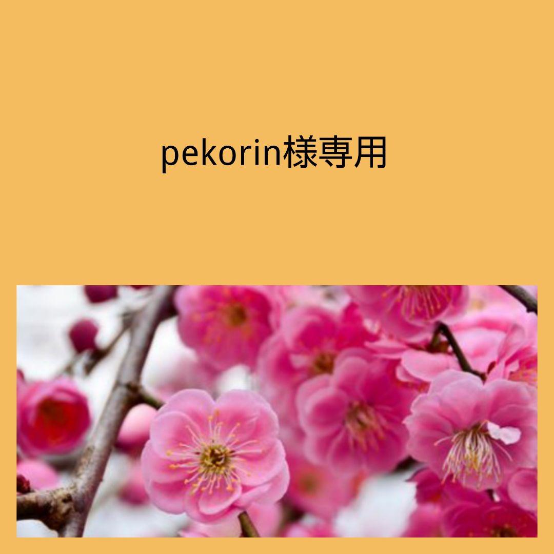 専用ページ 合計11点 K18チャーム