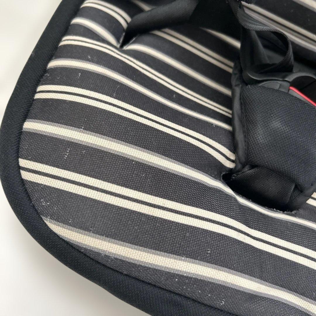 日本育児 トラベルベスト チャイルドシート ECプラス 兄弟 双子 バラ