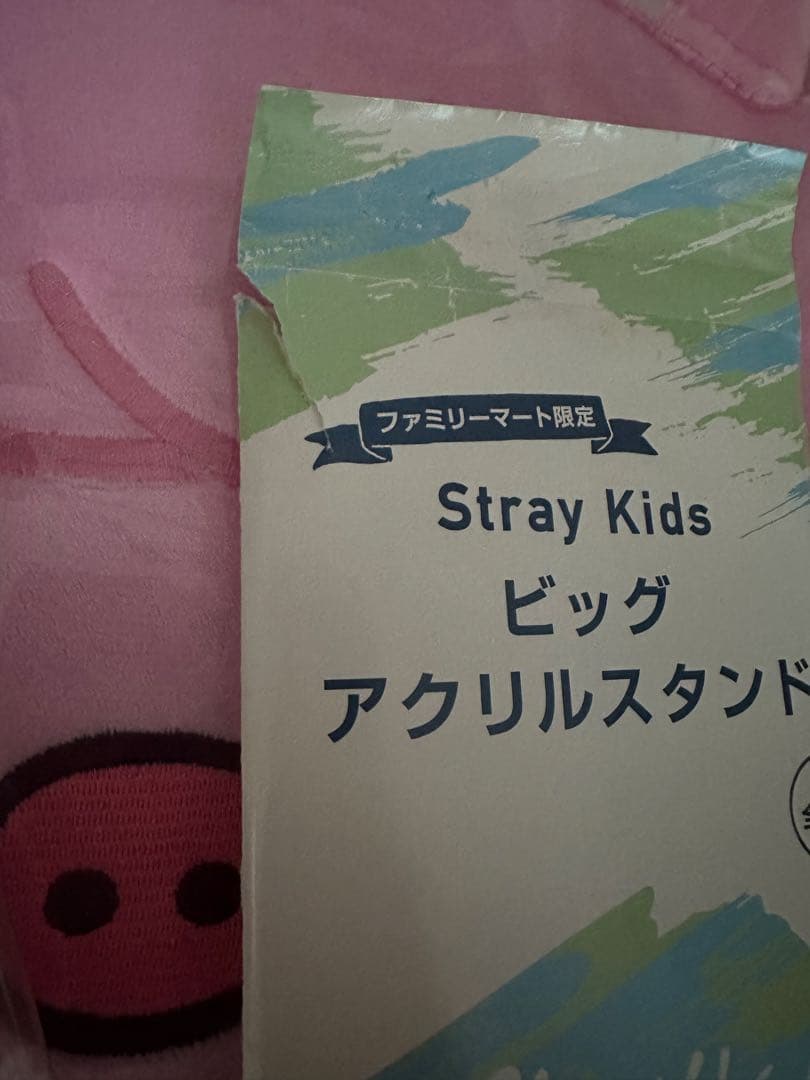 StrayKids SKZOO DWAEKKI チャンビン まとめ売り