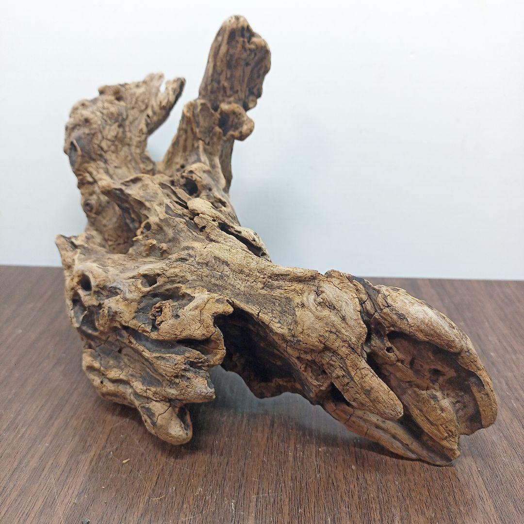 アク抜き済み 流木のおすすめ人気商品一覧 通販 - Yahoo!ショッピング