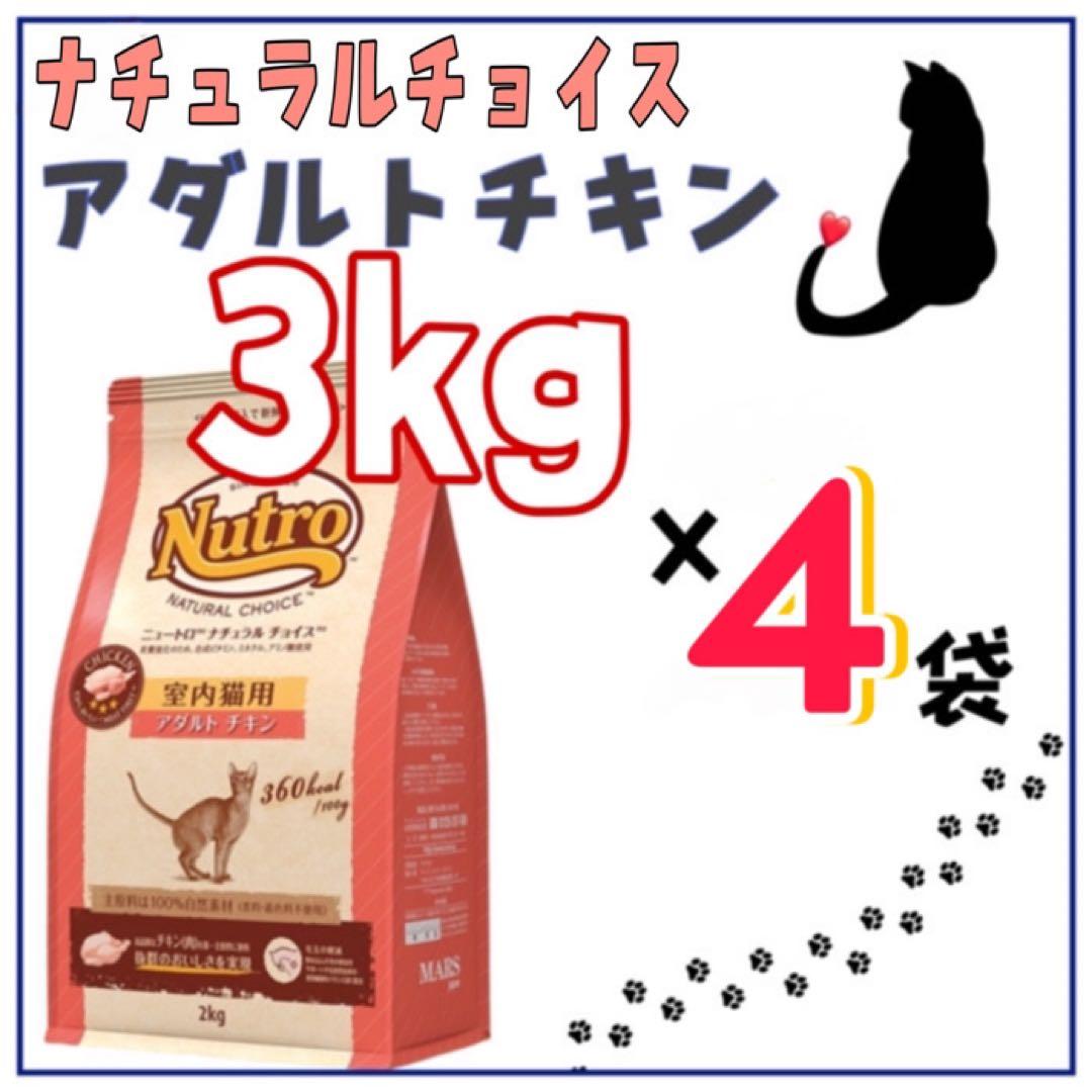 ナチュラル チョイス™ 室内猫用 キトン チキン [子猫用