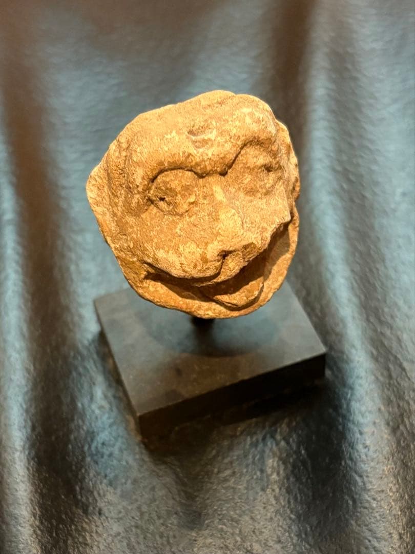 ハッダ　ストゥッコ　獅子頭部残欠 セール，大得価 ☆拾選☆ 獅子 頭部 残欠 ( ストゥッコ・伝ハッダ出土 )