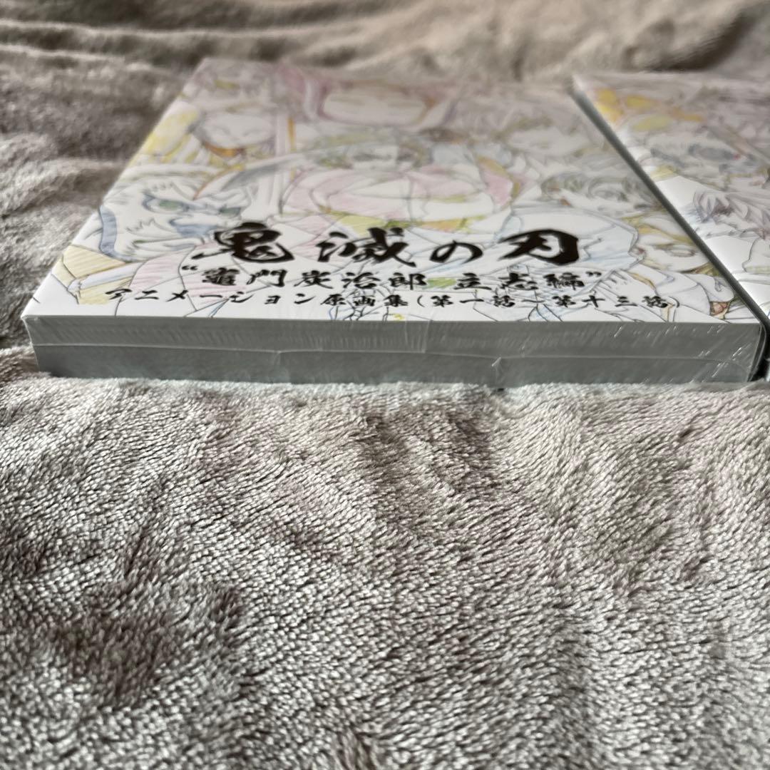 限定ポストカード付】鬼滅の刃 竈門炭治郎 立志編 アニメーション原画