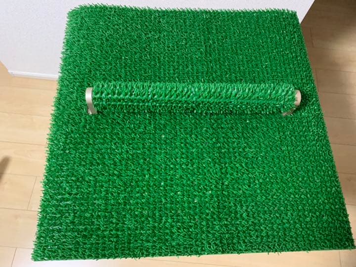 猛禽類 鳥類 パーチ （止まり木）