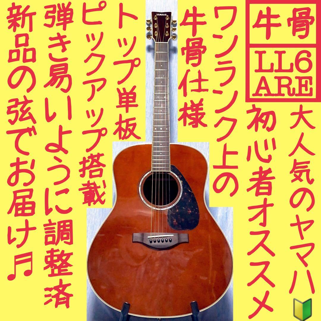 牛骨☆エレアコ】セピアクルー！少し小ぶりなアコギ【弾き易