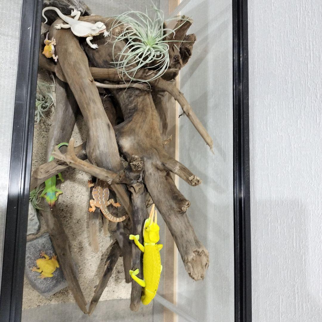 No.836】大型流木 爬虫類レイアウト✫インテリア✫ - メルカリ