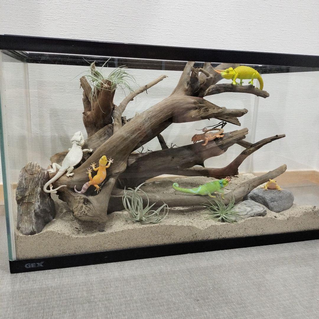 MDW-6784 特大ブランチウッド 流木 枝流木 アクアリウム MDW-6784 特大