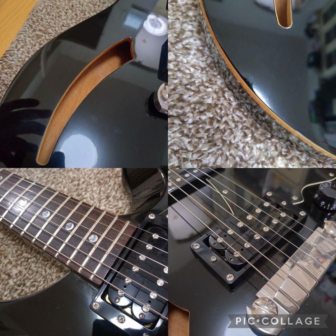 PRS SE Custom22 semi hollow？シンライン