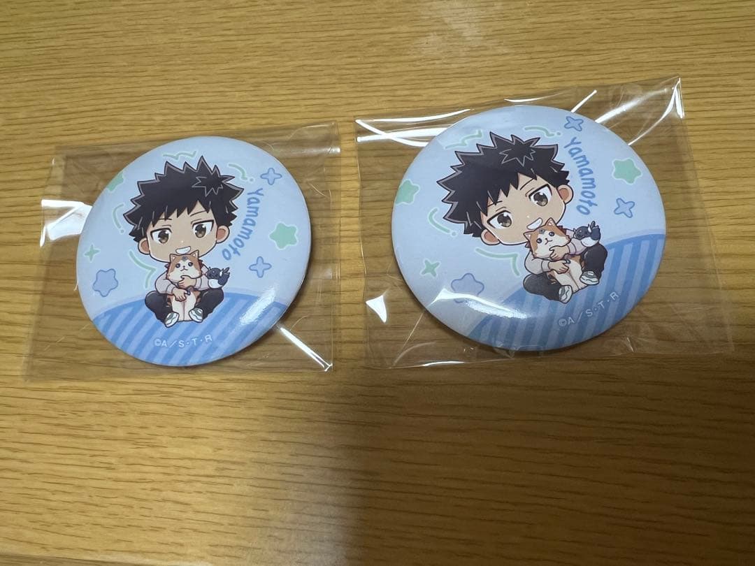 家庭教師ヒットマンREBORN ローソン缶バッジ 山本武 - メルカリ