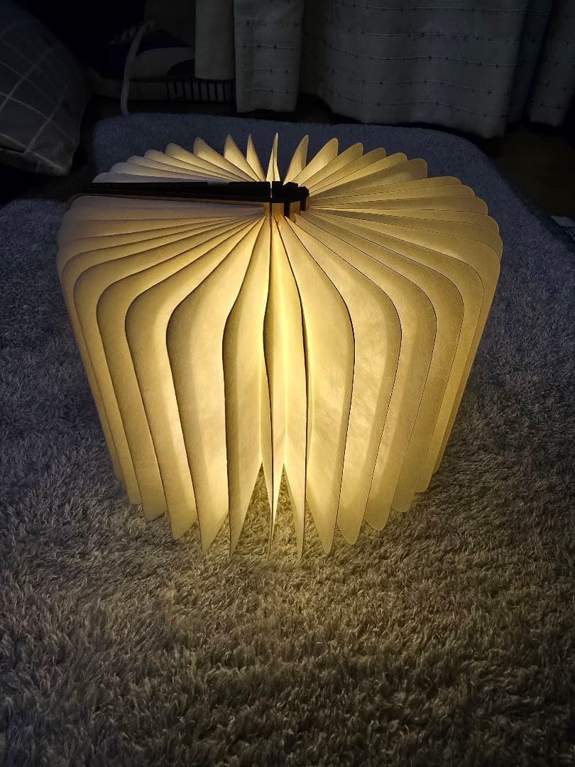 【シリアル1桁台!】嘘つき姫と盲目王子 限定100点 ブック型ライト 動作確認済