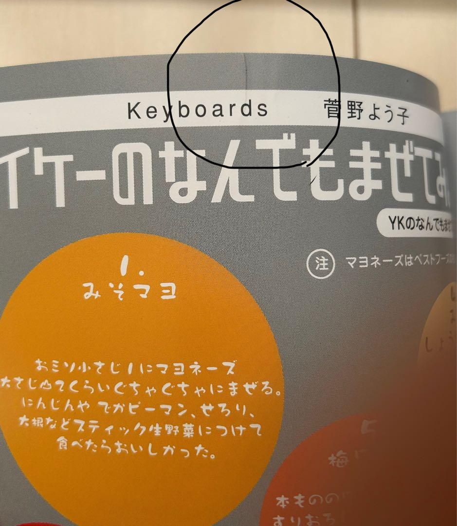 菅野よう子 シートベルツ ライブ SEATBELTS パンフレット ステッカー