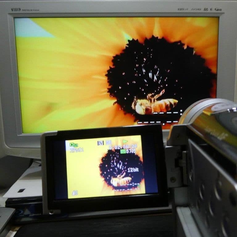 動作良好 キャノン IVIS HDV HV10 MiniDVビデオ DVD化に