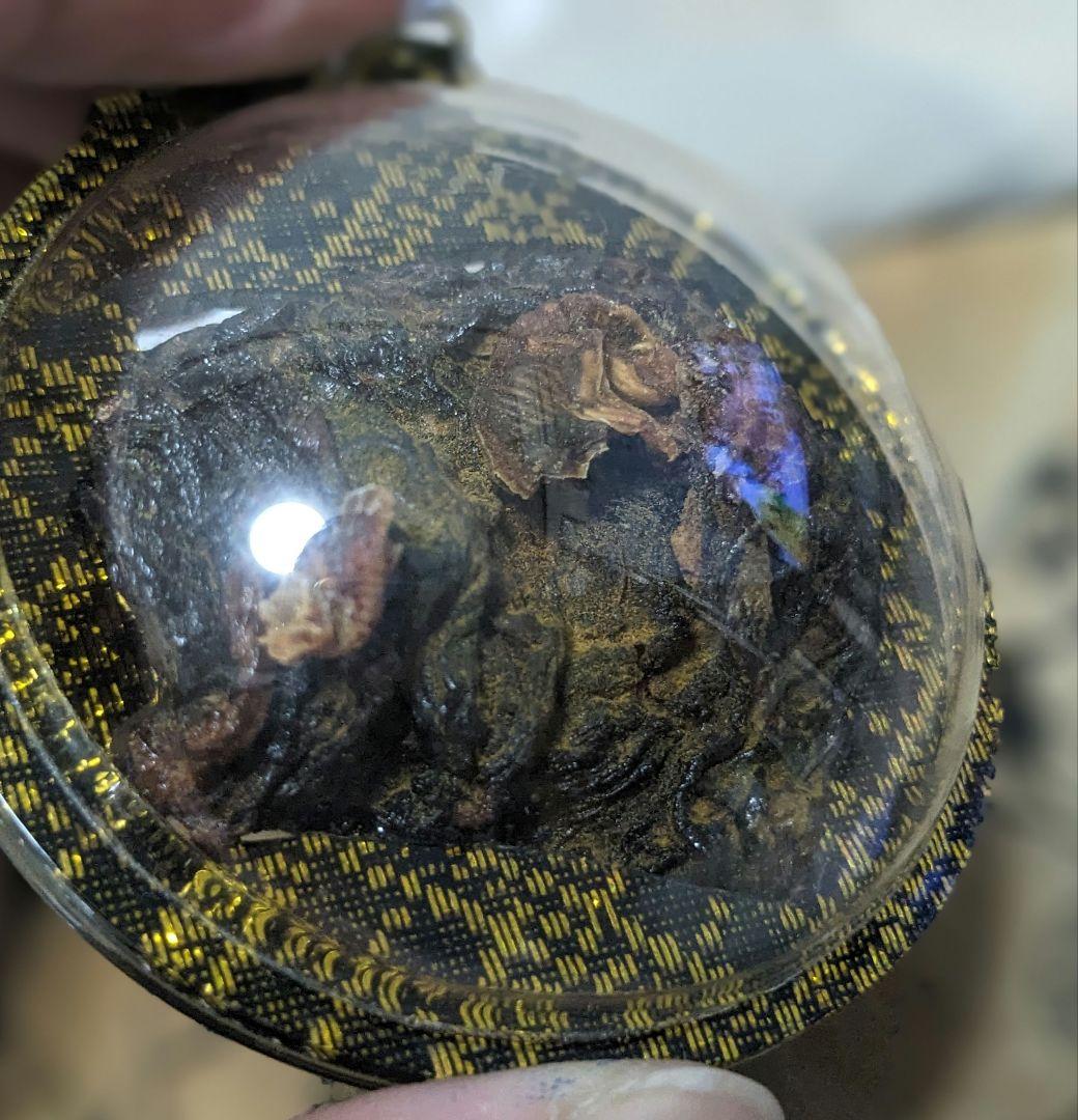 マジモノ…】動物の〇ちゃんを素材としたプラクルアン？呪物？すごい金